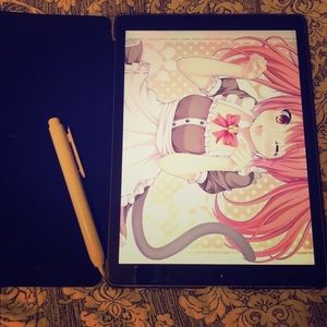 iPad Pro 12.9 inch 64gb with case